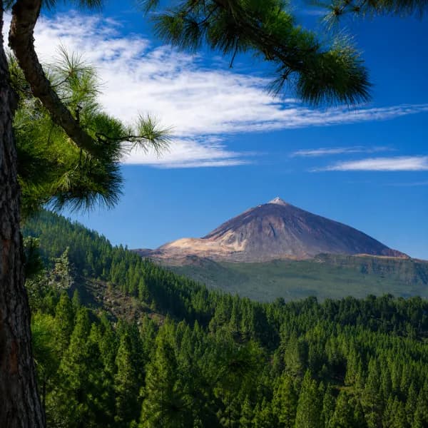 Mount Teide, Tenerife