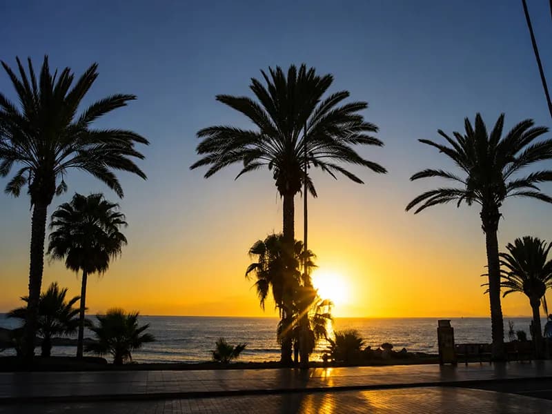 Playa de las Américas costa e spiagge, Tenerife
