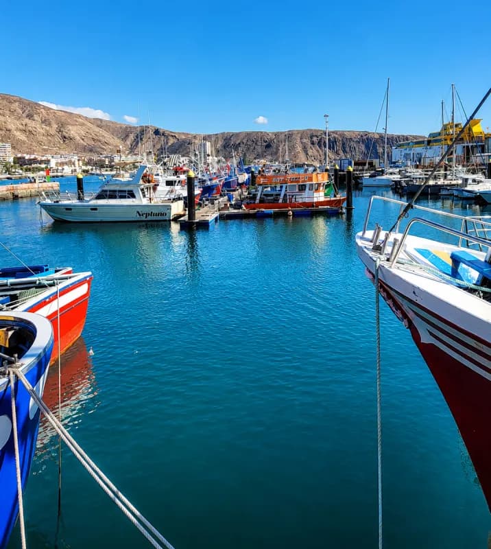 Los Cristianos marina, where the boat departs from