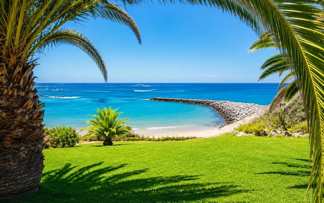 Que faire à Costa Adeje: 20 meilleures activités et expériences